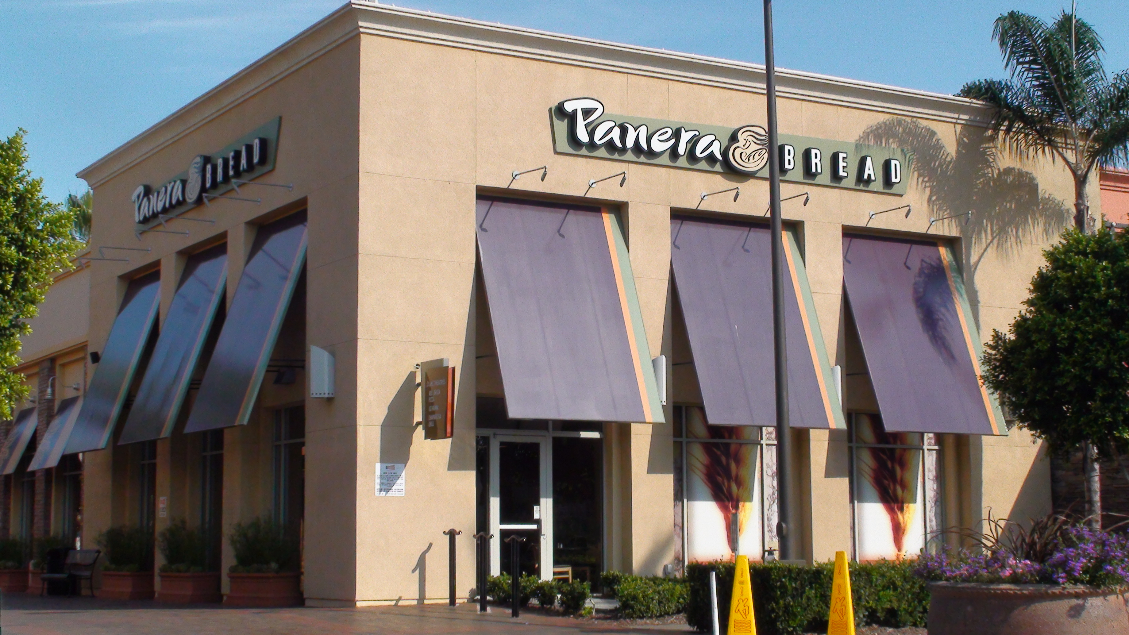 Retail Leasing & Sales